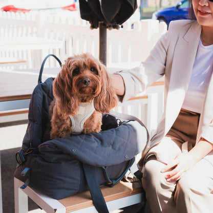 Multipurpose Carrier &amp; Car Seat | Slate Gray