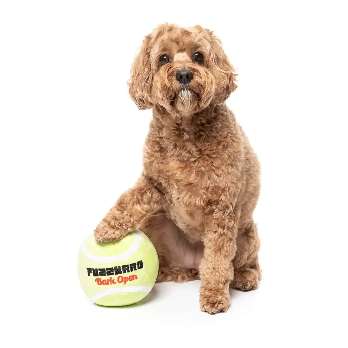 Bark Open Tennis Ball
