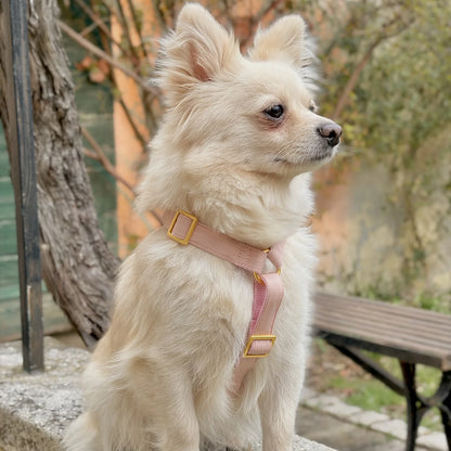 Harness Cotton - Blush