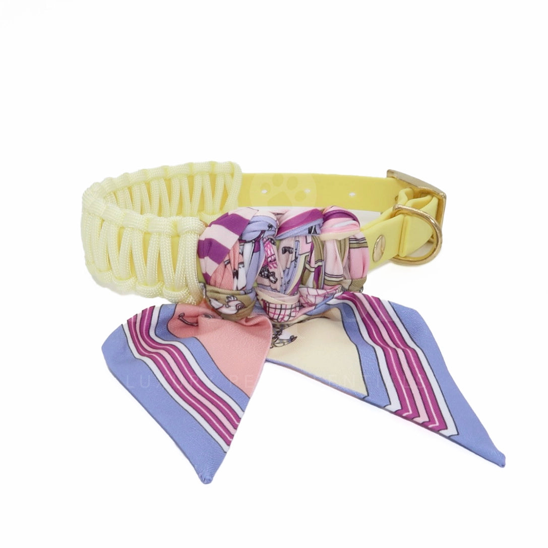 Foulie Collar | Golden Gallop