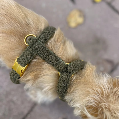 Harness Teddy - Olive