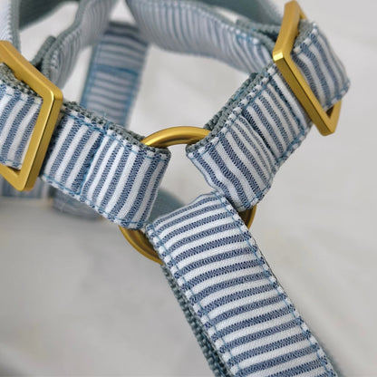 Harness Riviera - Blue
