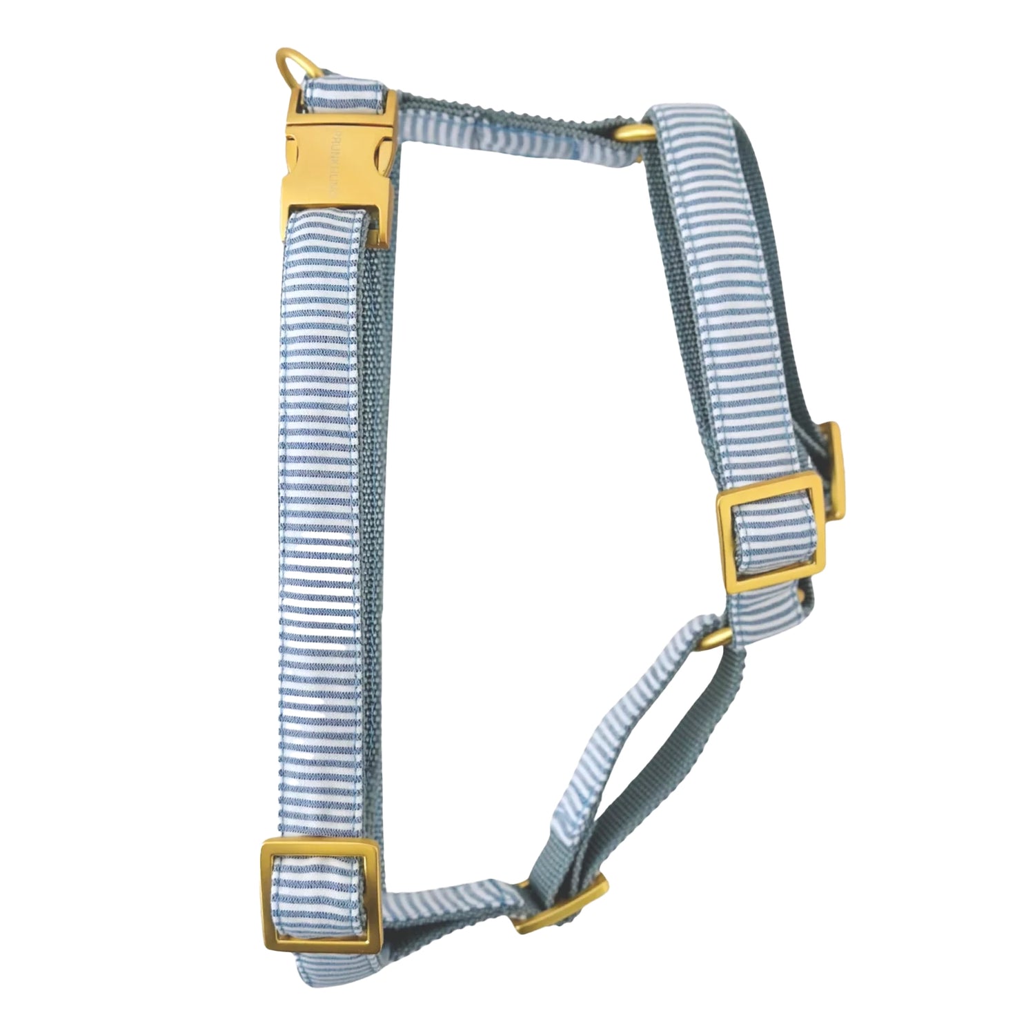 Harness Riviera - Blue