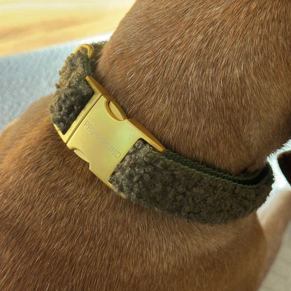 Collar Teddy - Olive