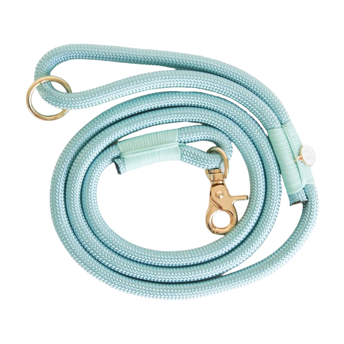 Braided Rope Leash - Aqua