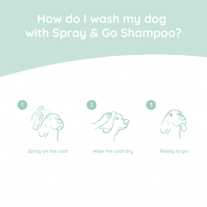 Dachshund Care Set | Wire Coat
