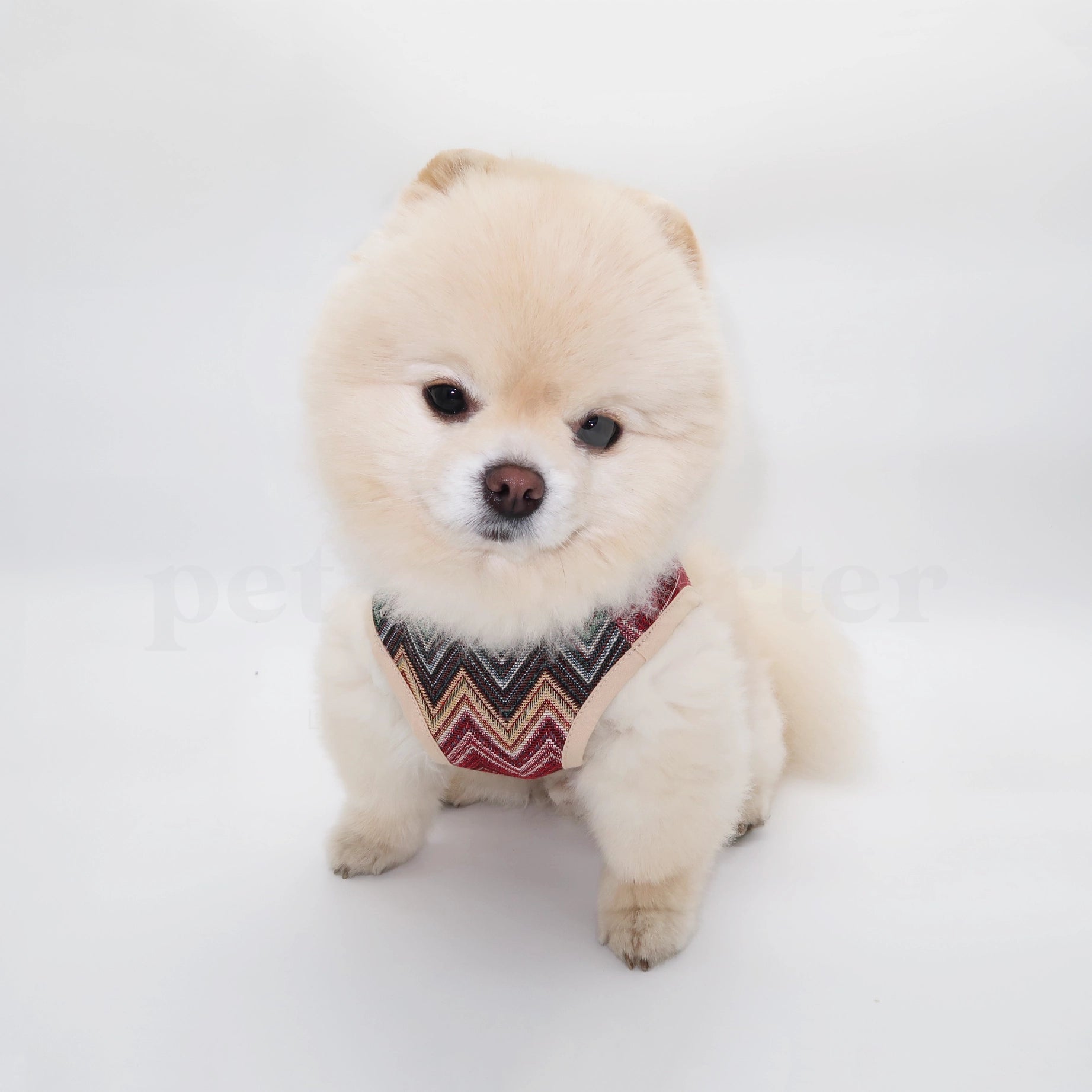 Dog Harness - Multicolor ZigZag