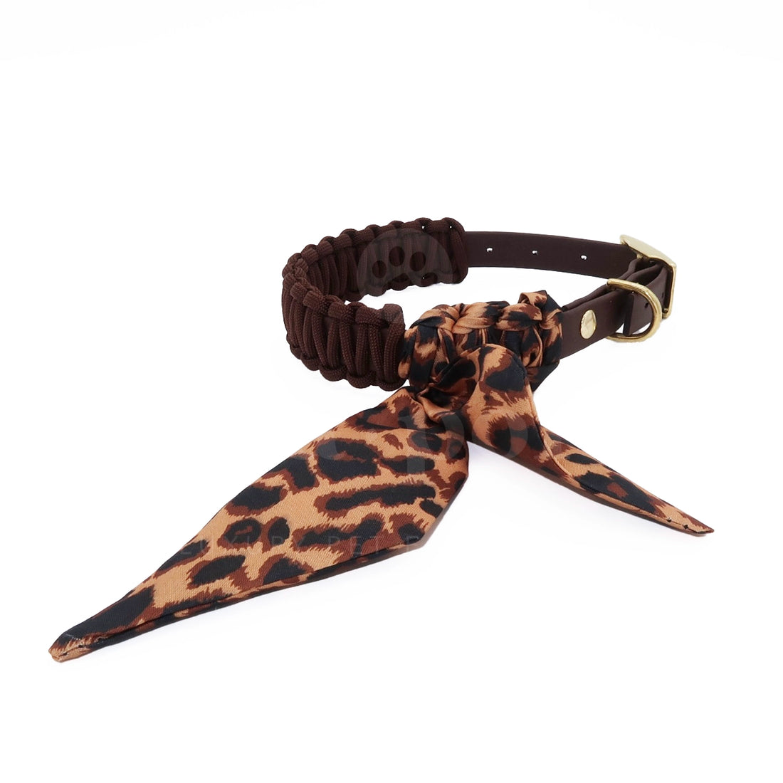 Foulie Collar | Panthera
