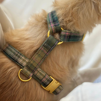 Harness Tartan