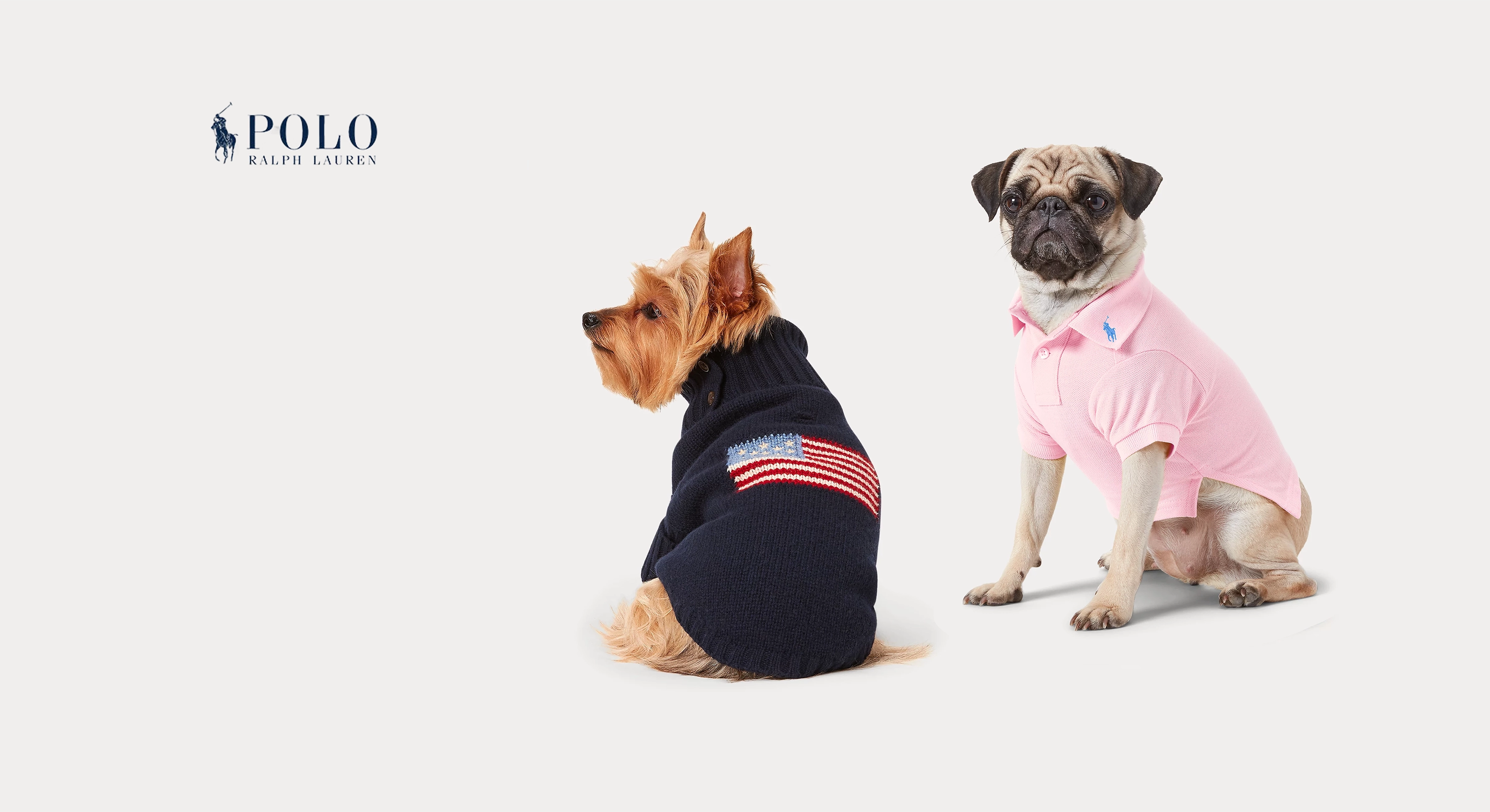 Pet a Porter Luxury dog accessories