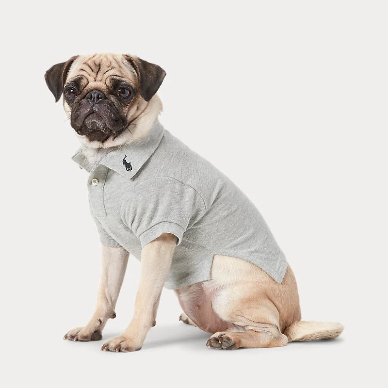 POLO RALPH LAUREN Polo Shirt Andover Grey Pet a Porter