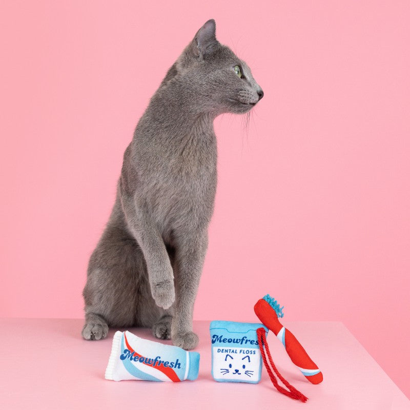 Minty Fresh Set Cat Toy