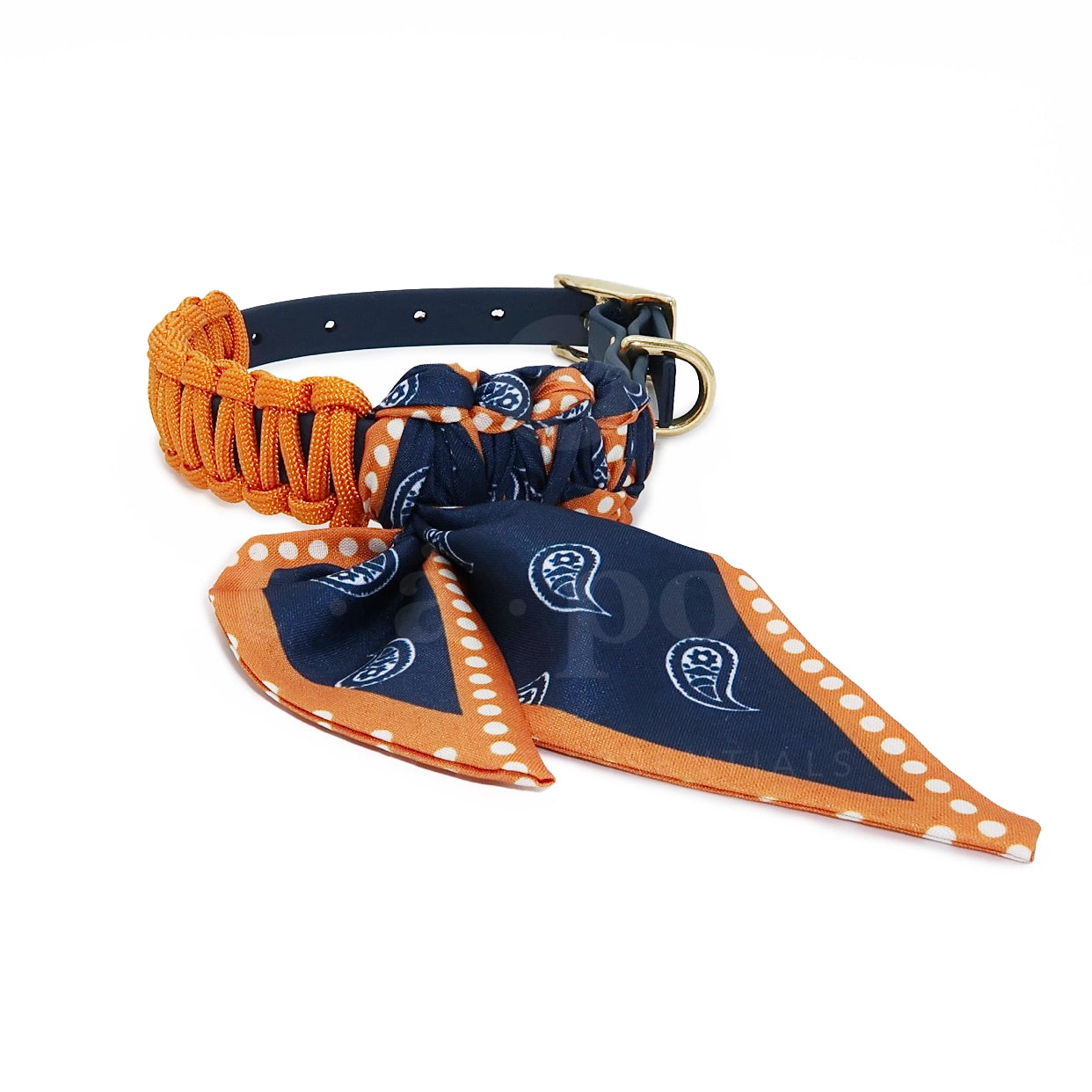 Foulie Collar | Soleil Marine