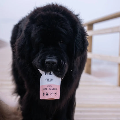 Pala Treat | 100% Pork Kidney