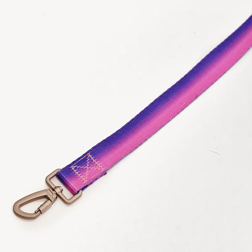 Gradient Leash - Pink/Purple