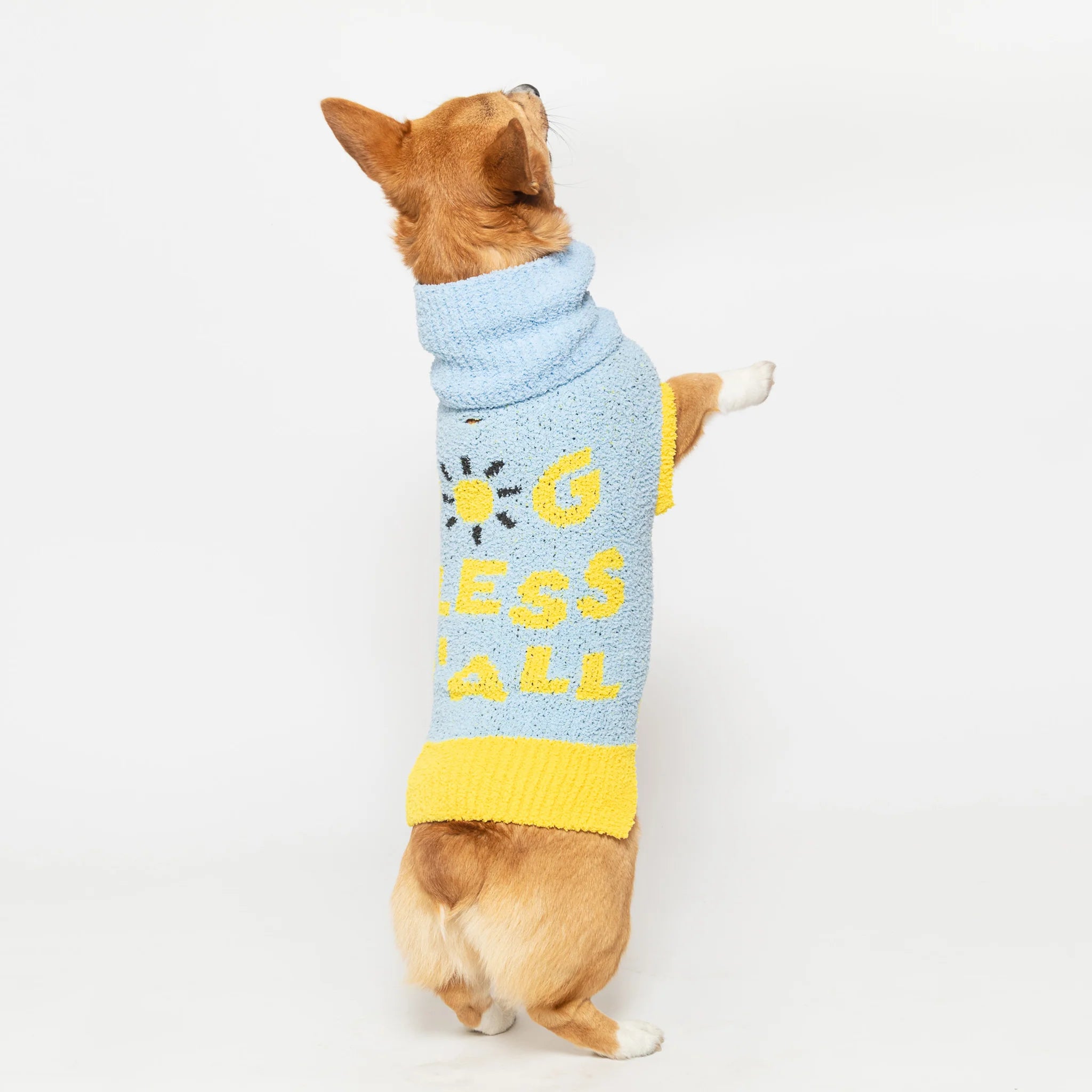 Dog Bless Sweater