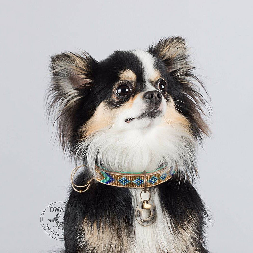 Indi Moon Collar