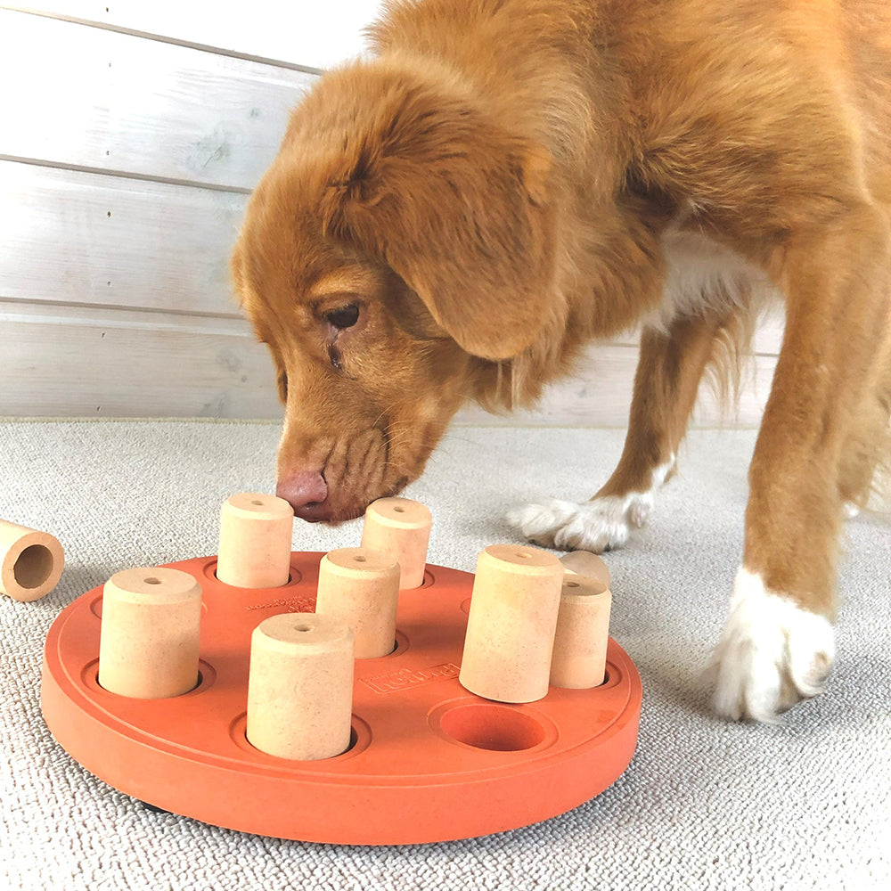 Dog Smart Composite Interactive Treat Puzzle - Orange