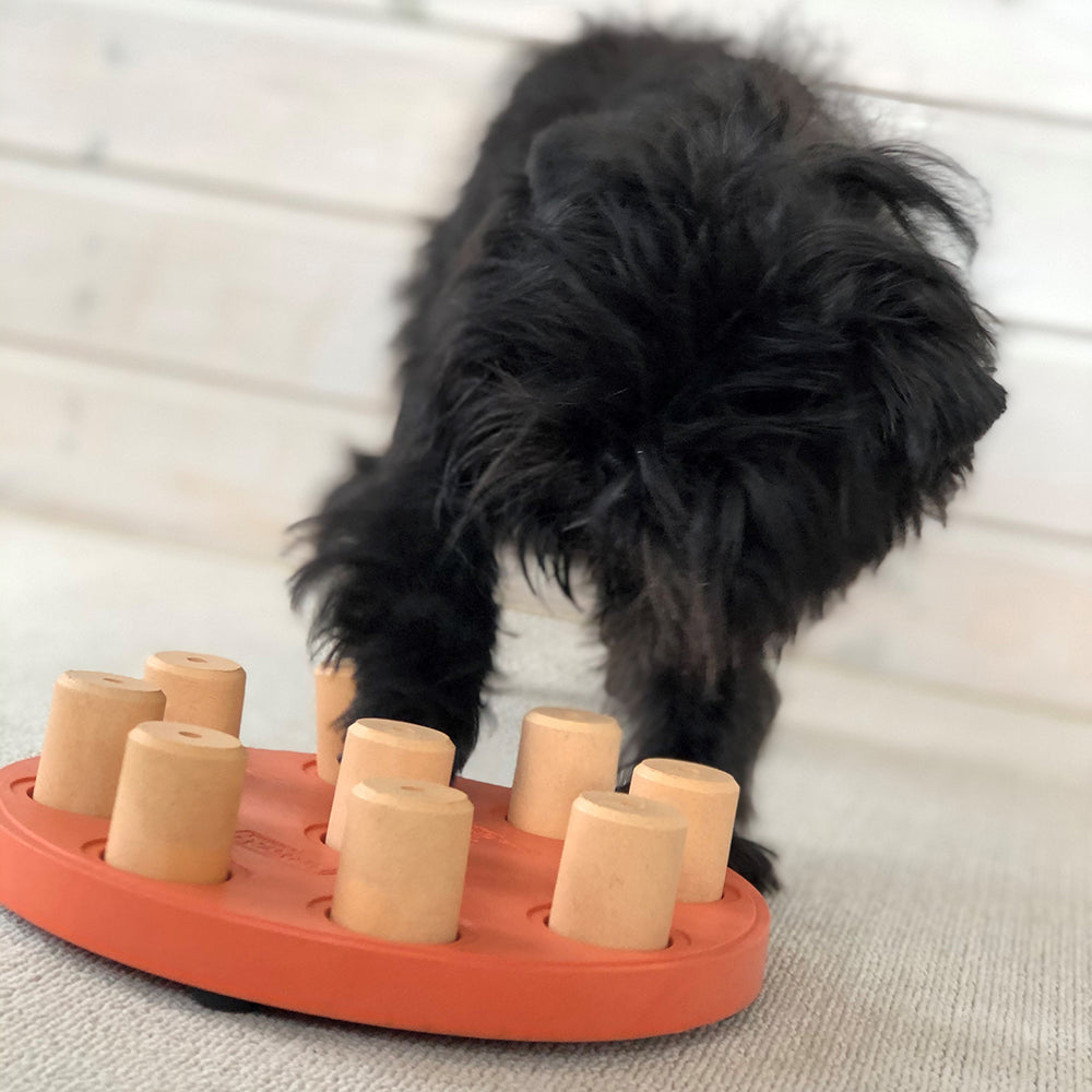 Dog Smart Composite Interactive Treat Puzzle - Orange
