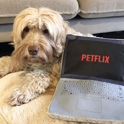 Petflix