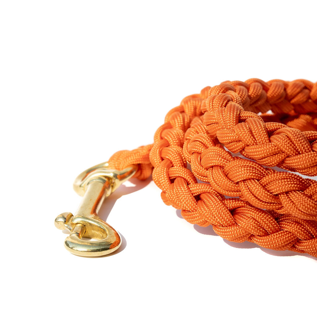 Fox Paracord Leash