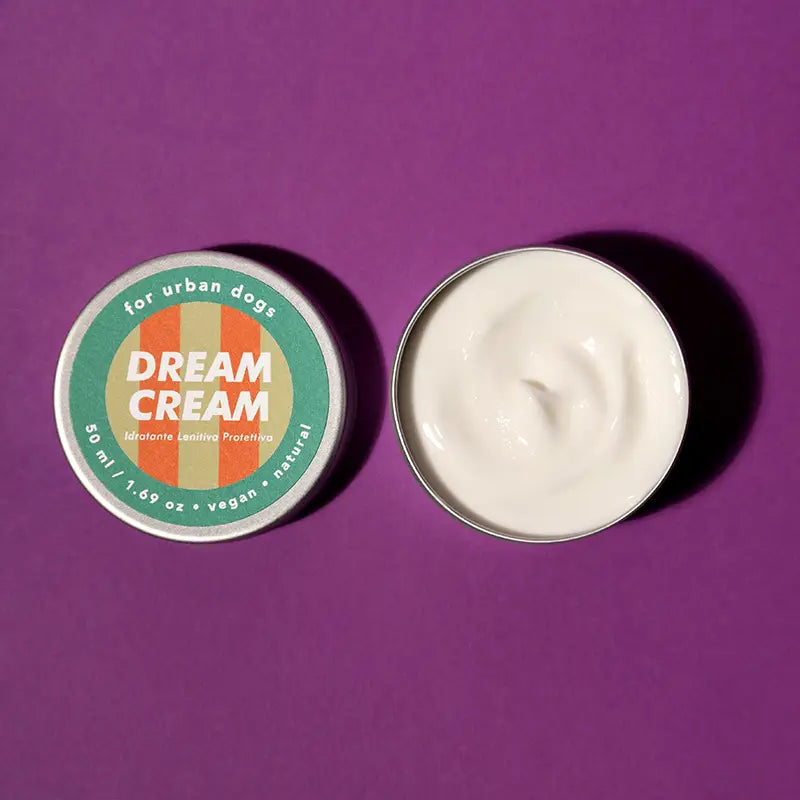 Dream Cream | Nourishing Cream