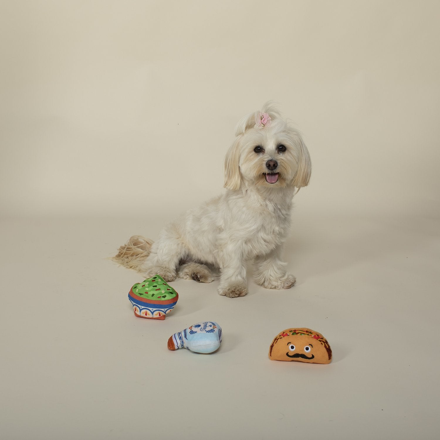 Taco Tuesday | Small Dogs Toy Set