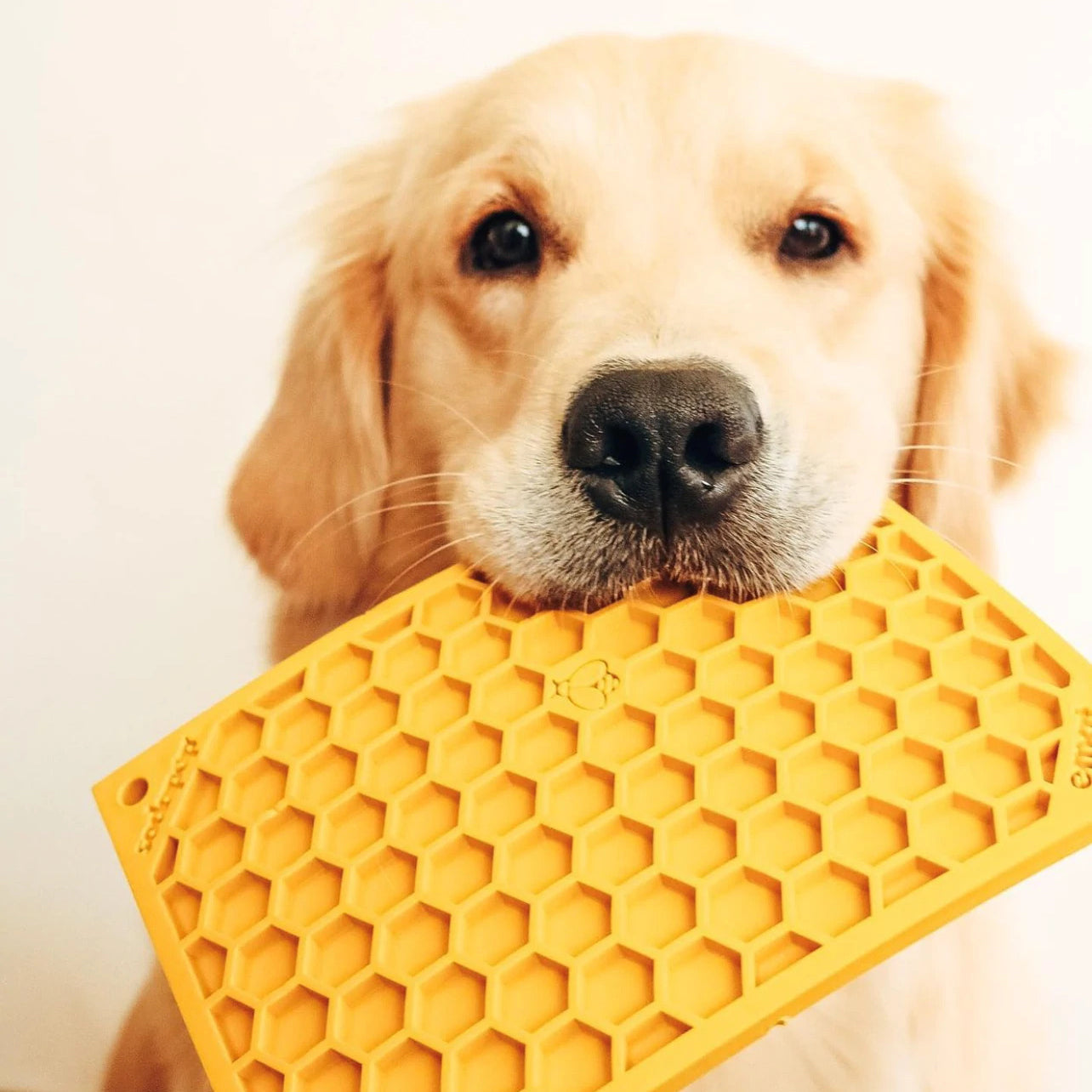 Large Enrichment Licking Mat - Honeycombs