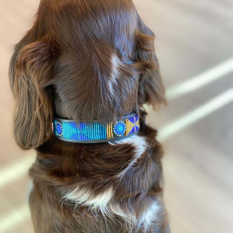 Beaded Dog Collar - Charly