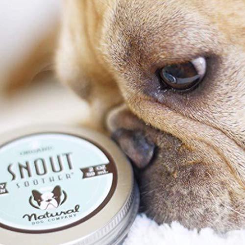 Natural Dog Company Snout Soother - Pet-à-Porter