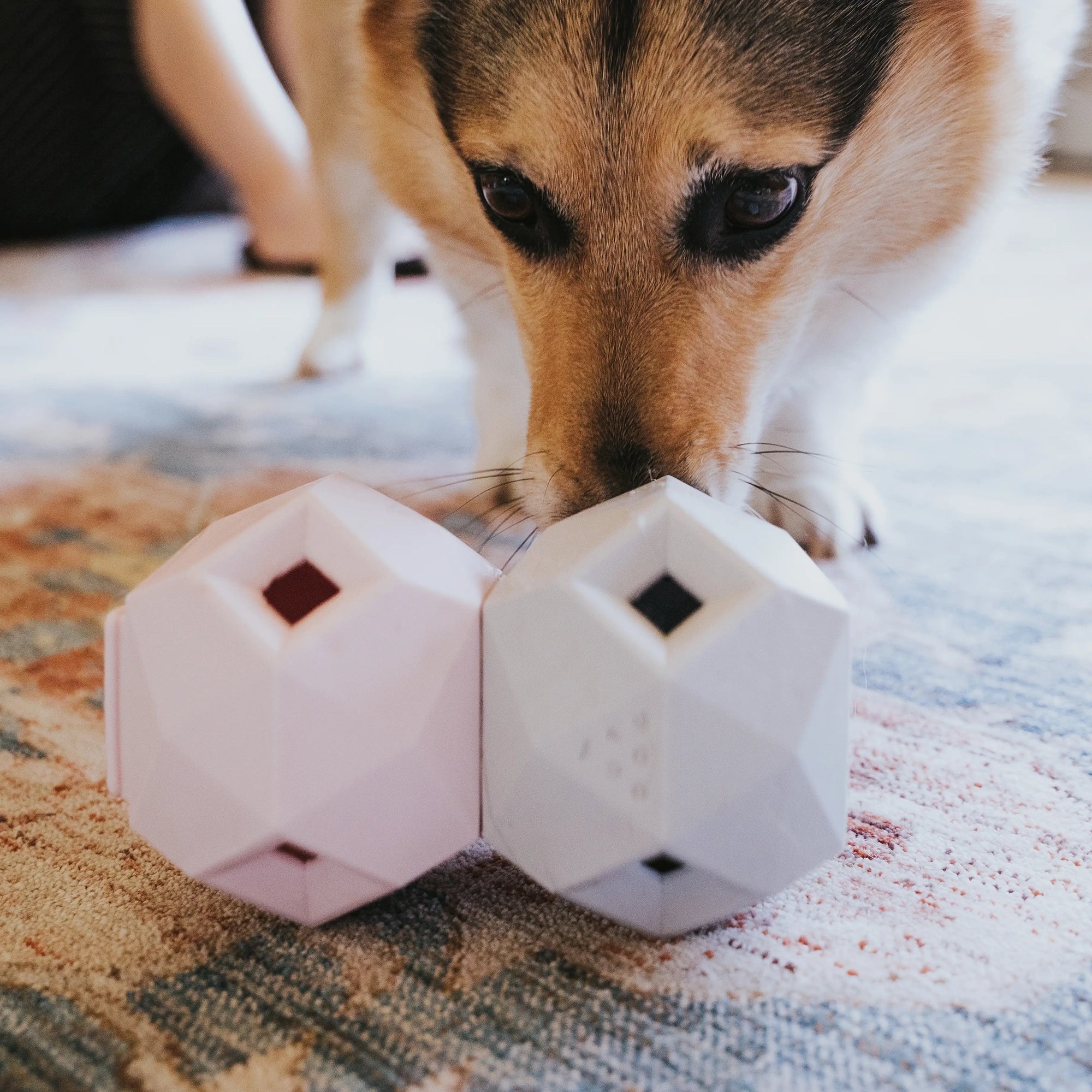 Odin Modern Interactive Dog Puzzle Toy - Rose Quartz