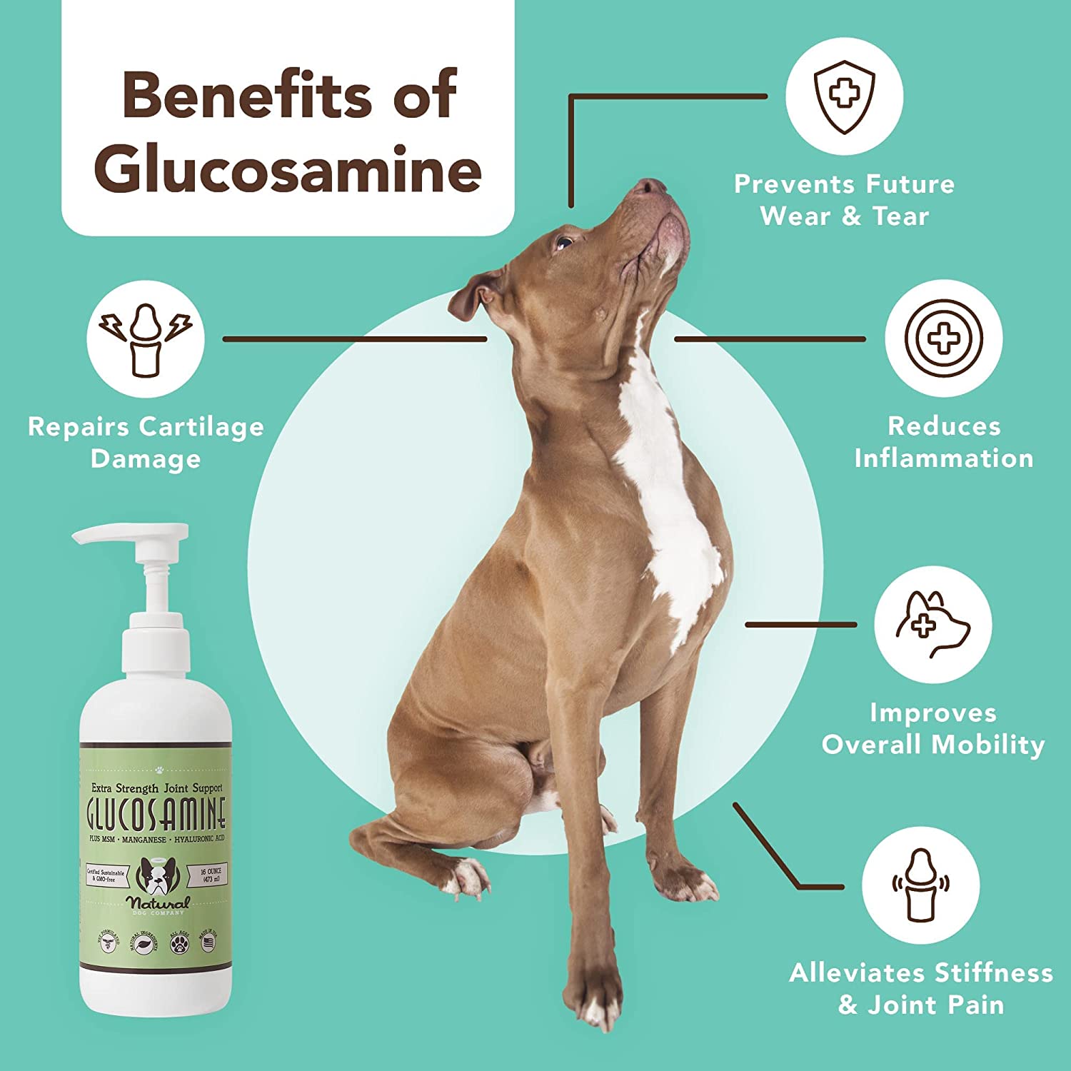Liquid Glucosamine Supplement