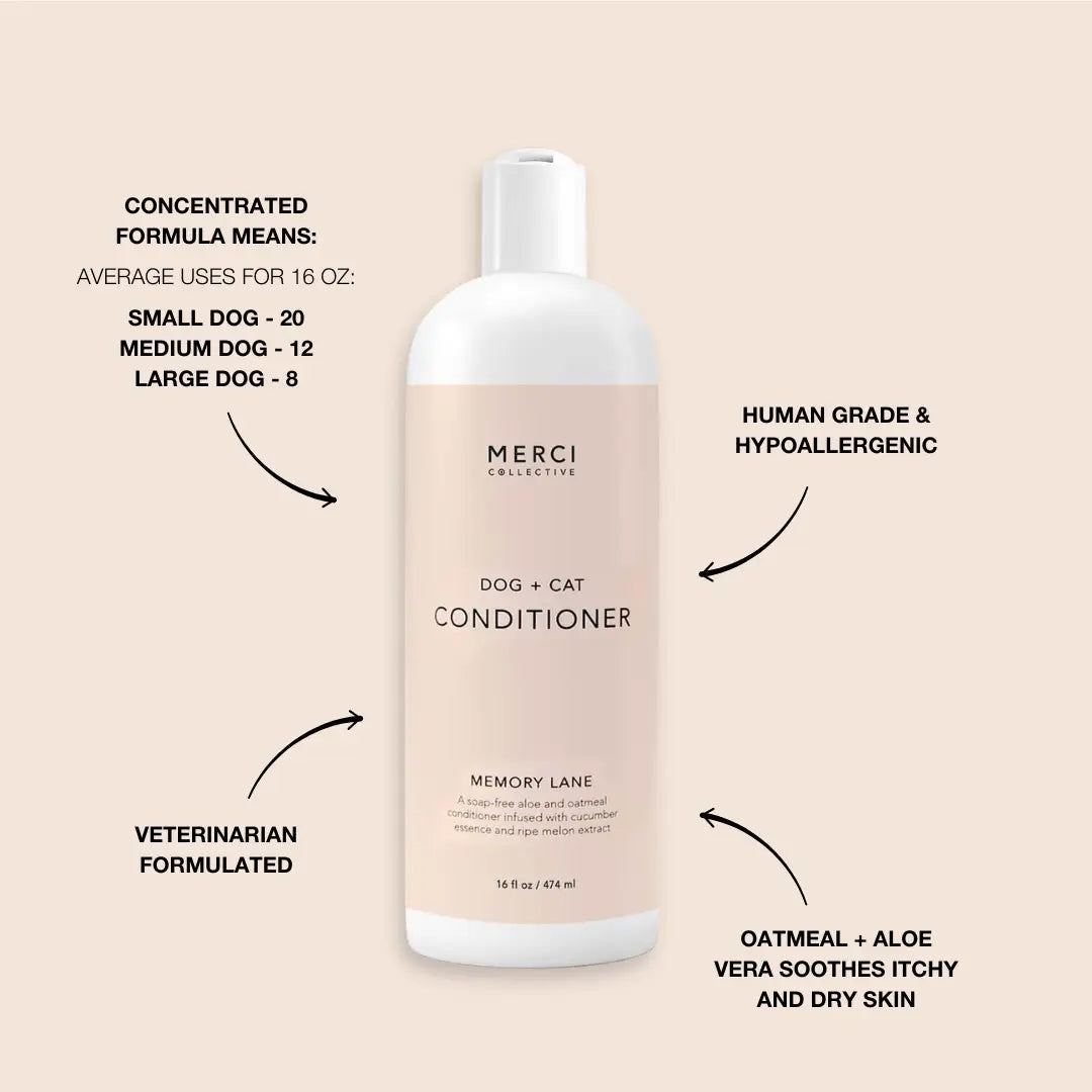 Crystal-Infused Memory Lane Conditioner - Amethyst