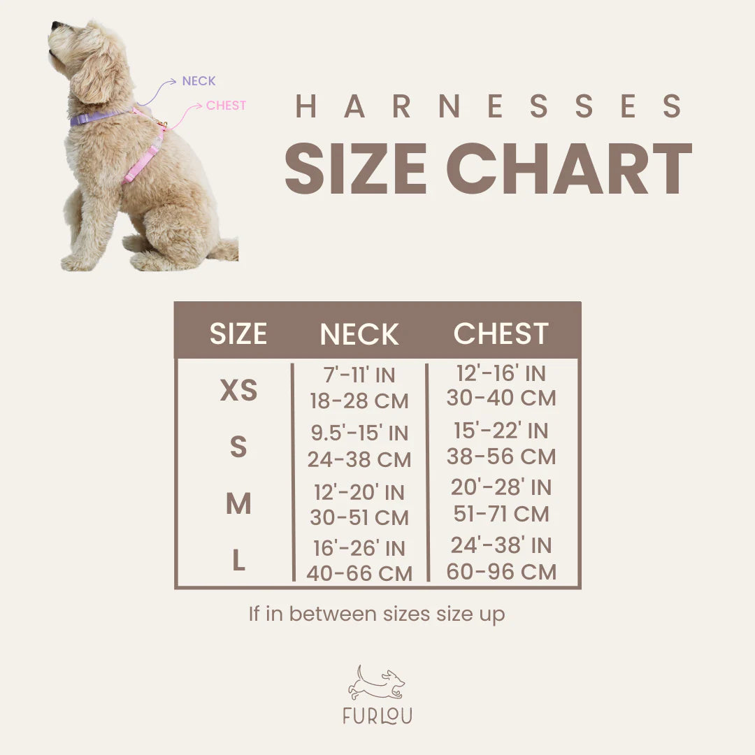 Dog Harness - Puppaccino