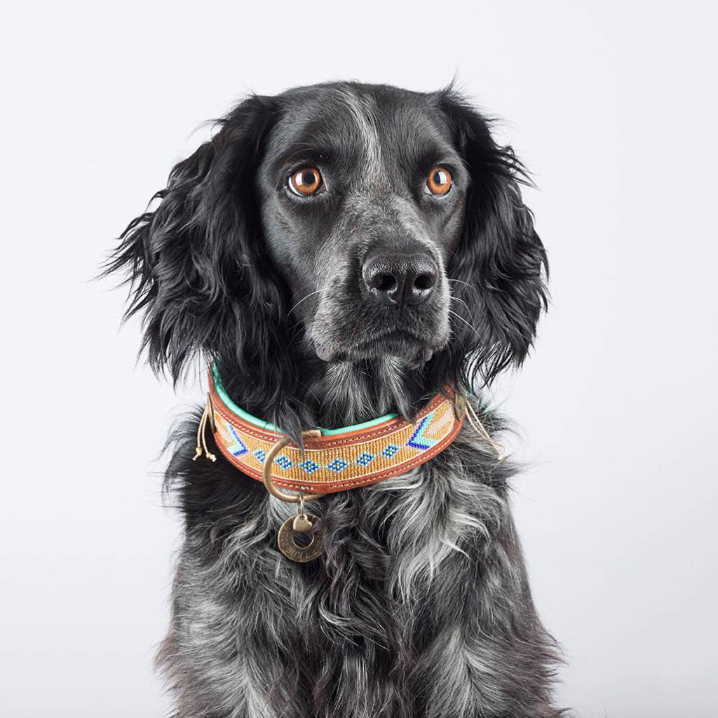 Indi Moon Collar