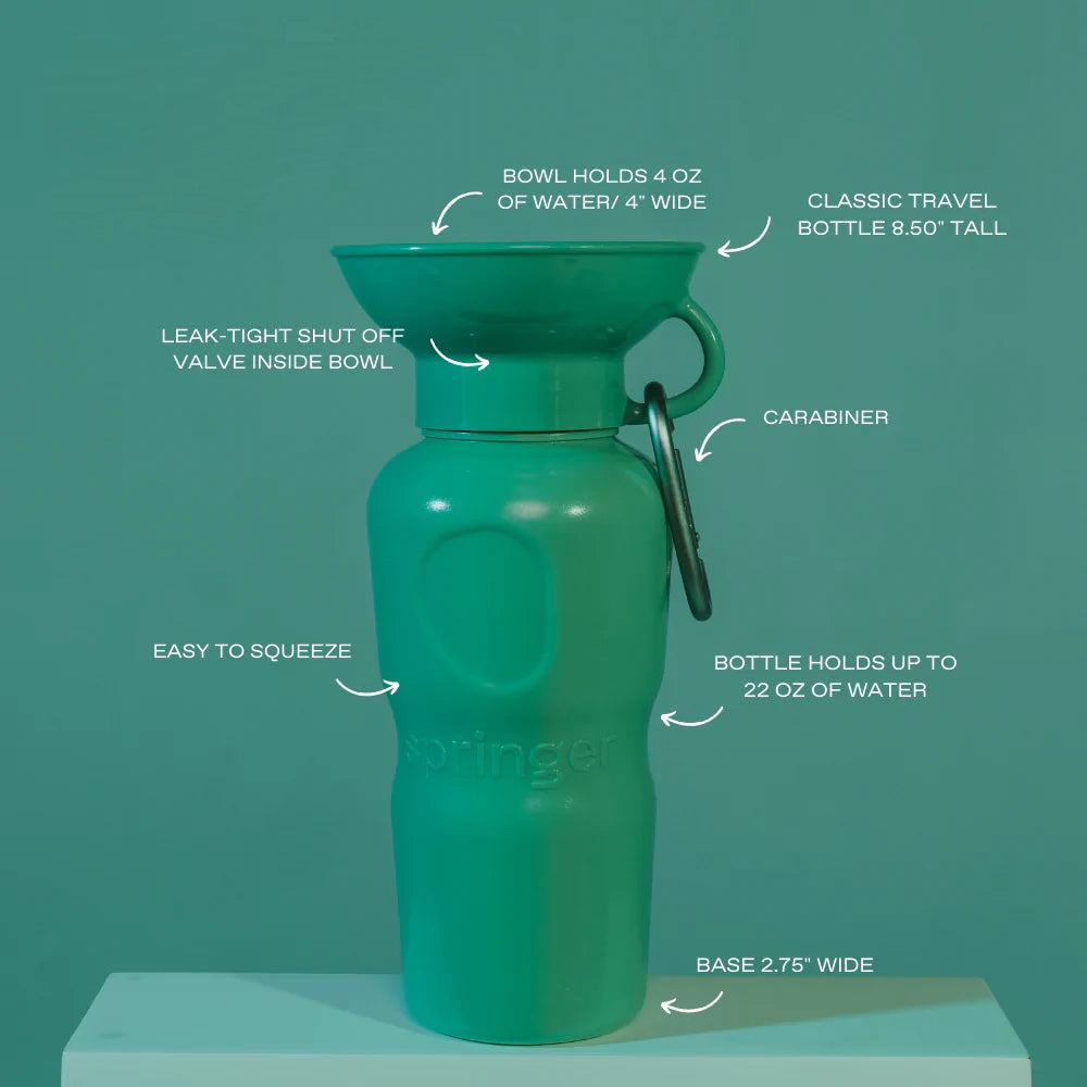 Travel Water Bottle - Springer Green