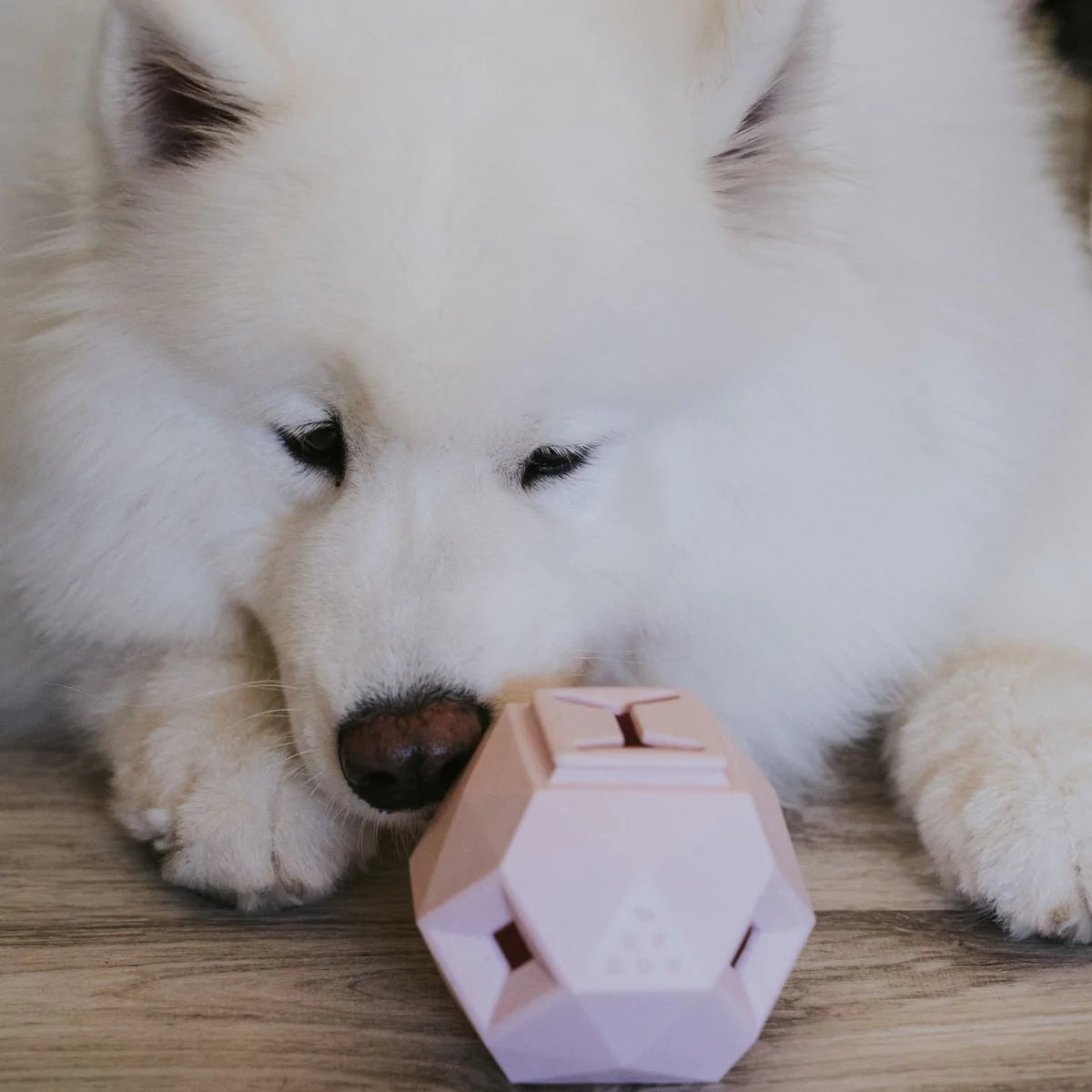 Odin Modern Interactive Dog Puzzle Toy - Rose Quartz