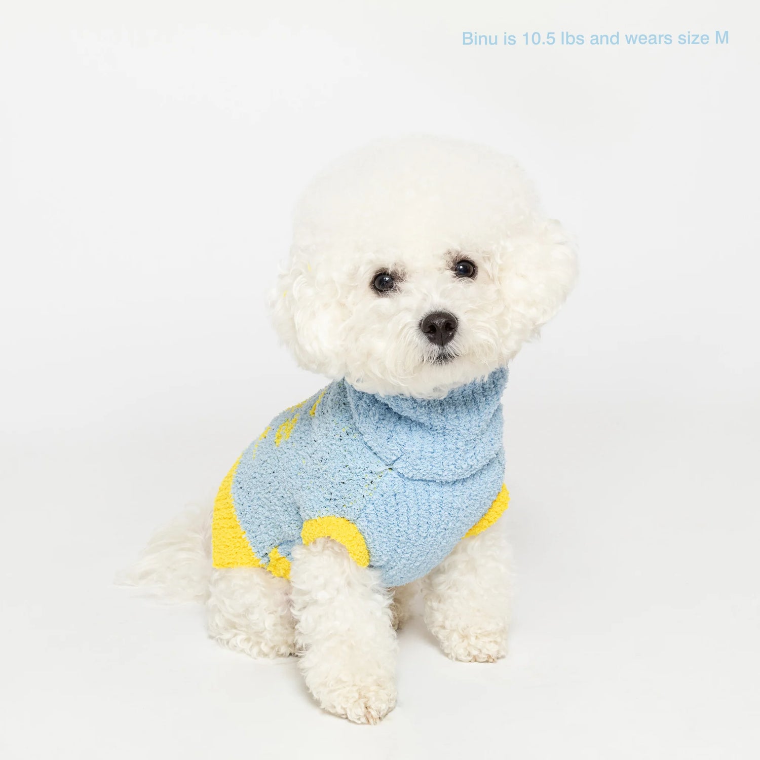 Dog Bless Sweater