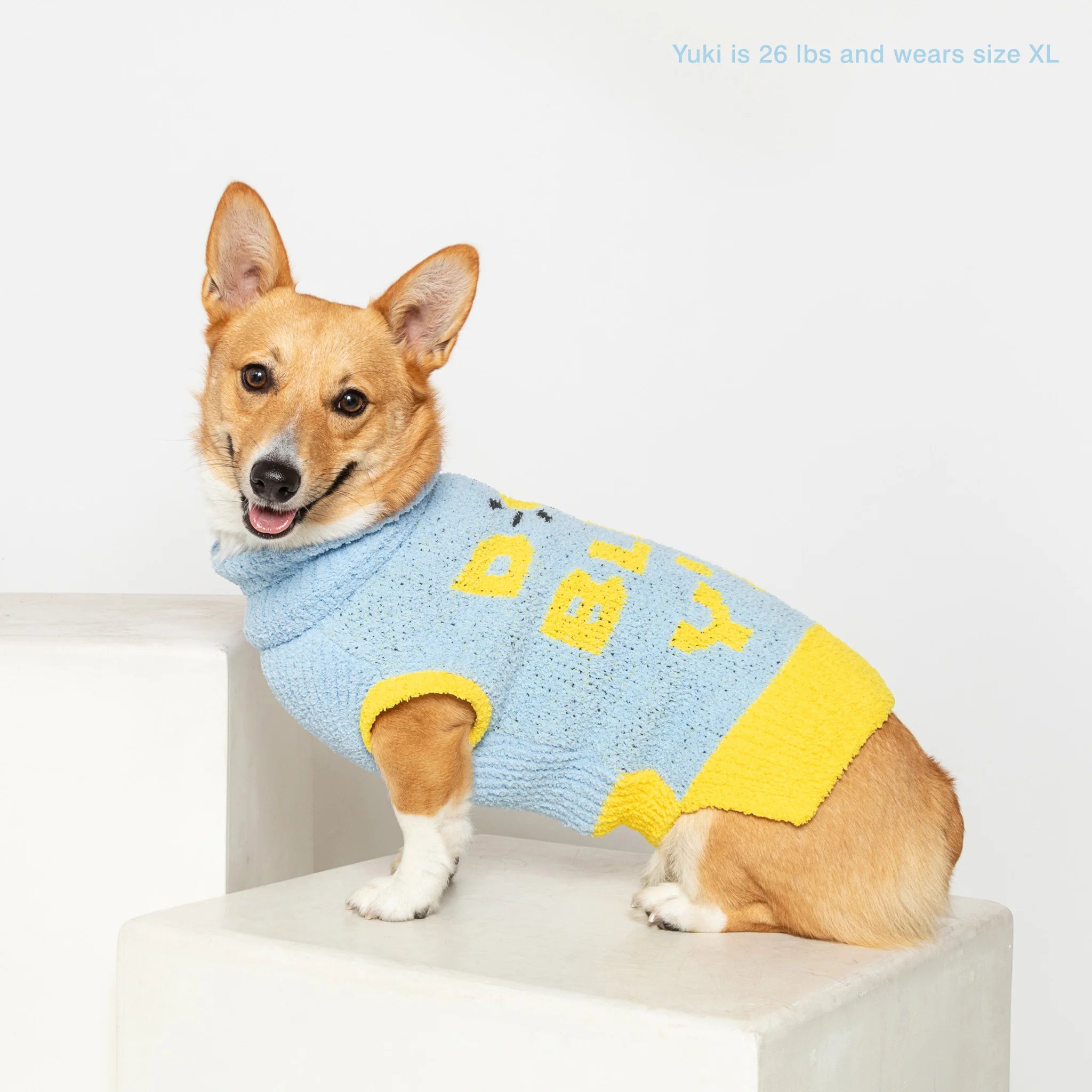 Dog Bless Sweater