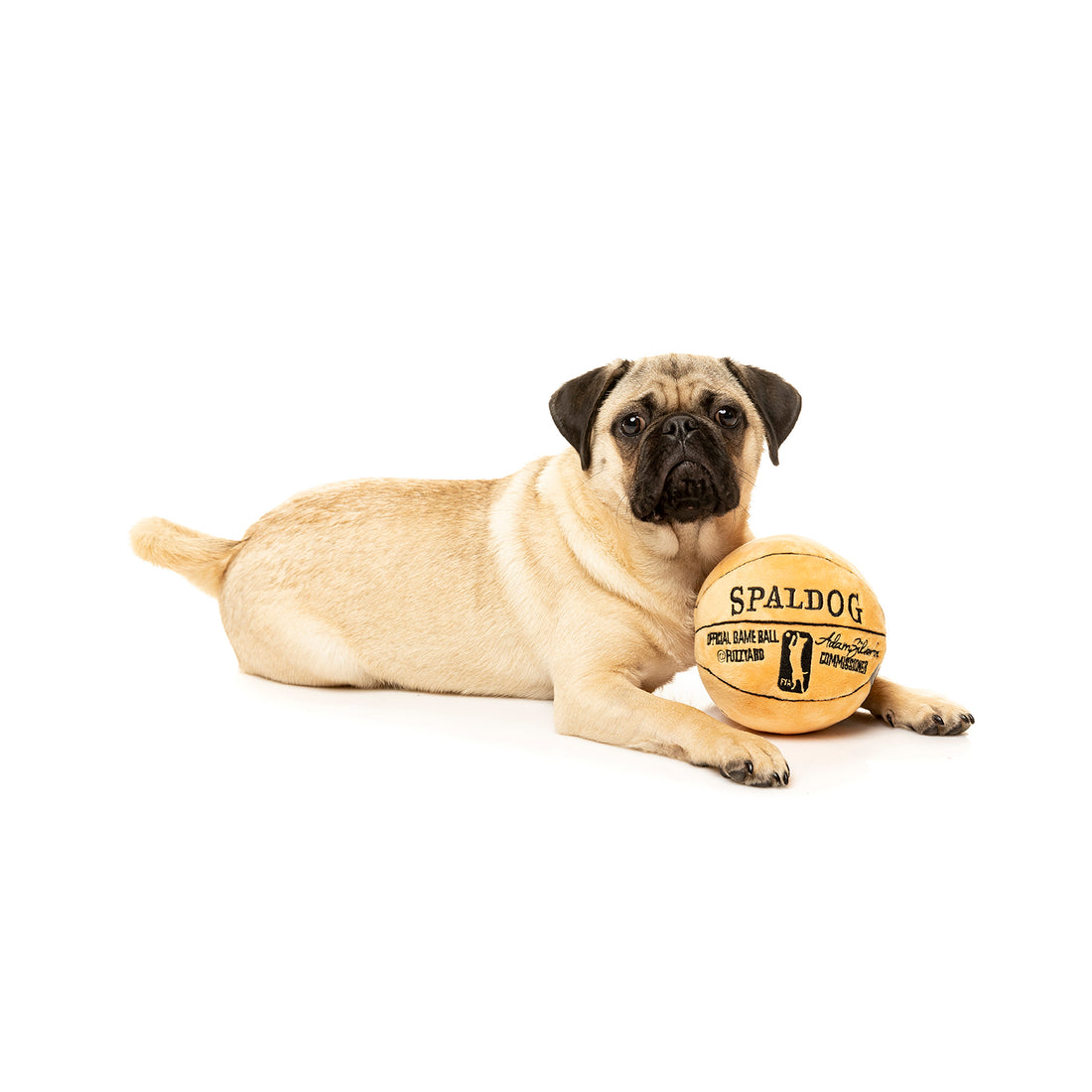Spaldog Basketball
