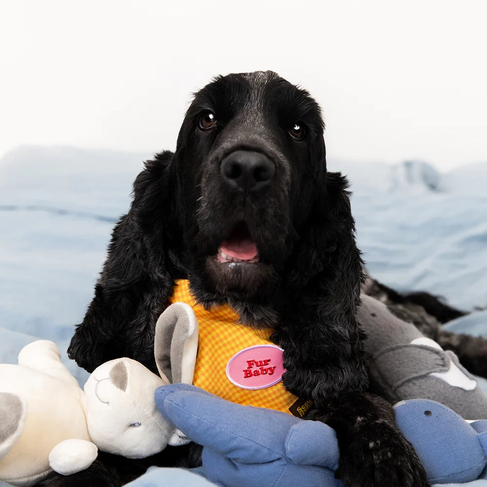 Fur Baby Badge