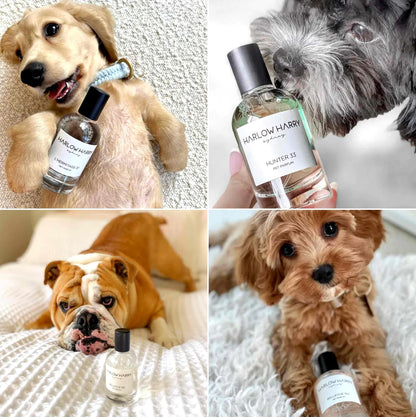 Pet Parfum l L&