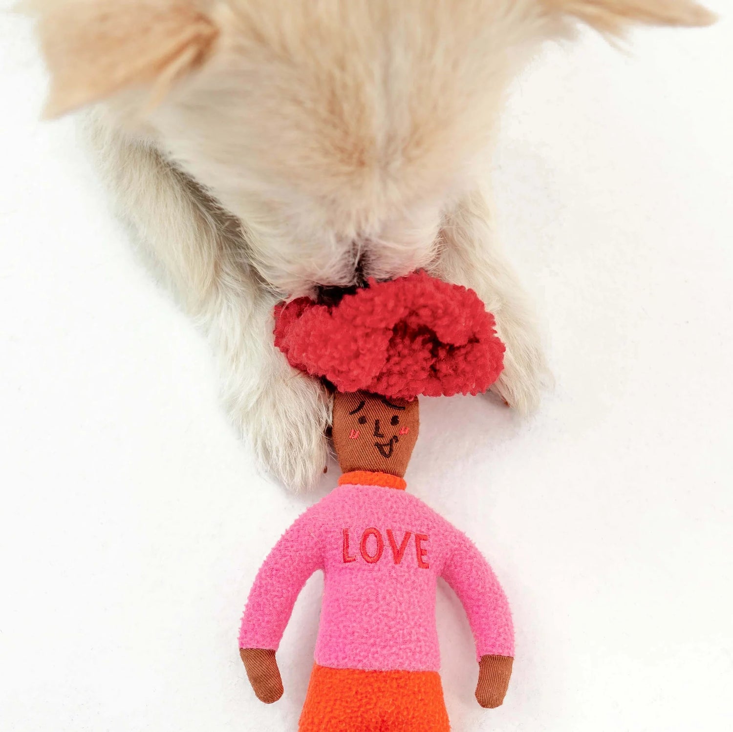 Hooman Nosework Toy - Love