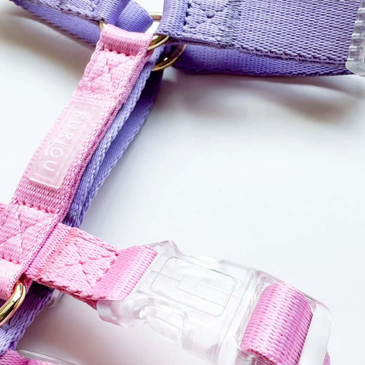 Dog Harness Unicorn Pet Porter