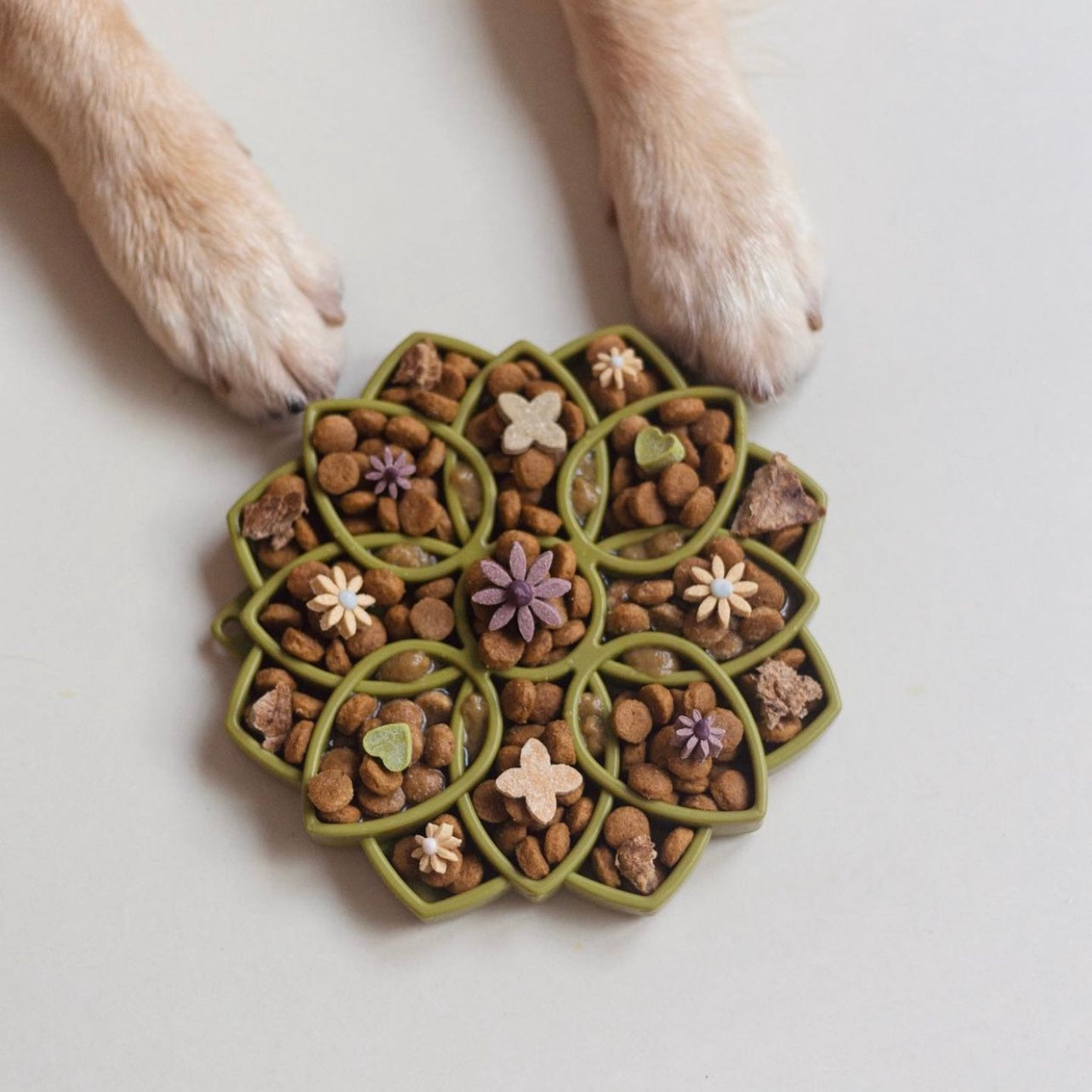Enrichment Mandala - Green