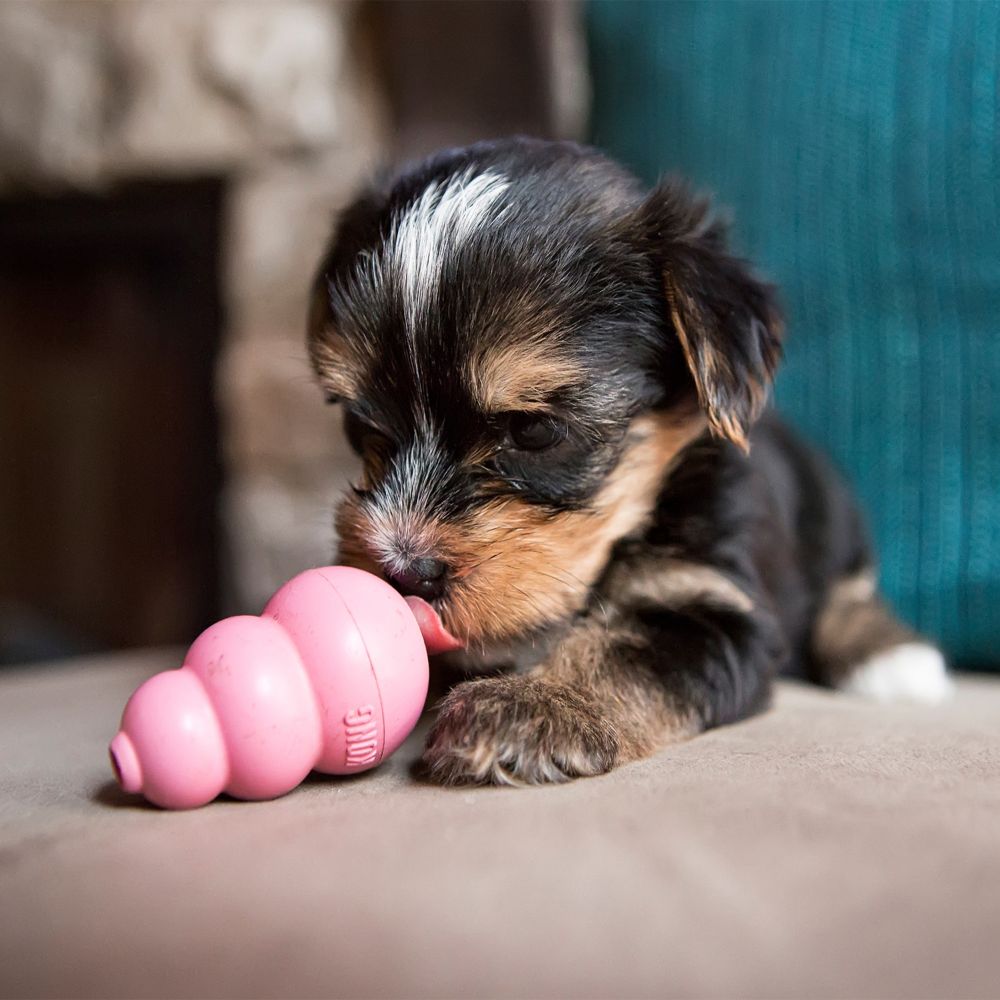 KONG PUPPY - PINK