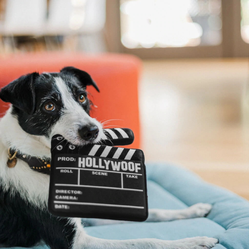 Hollywoof Cinema Director Board