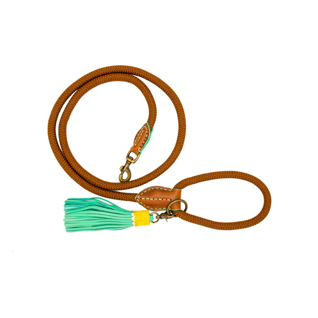 Rover Dog Leash