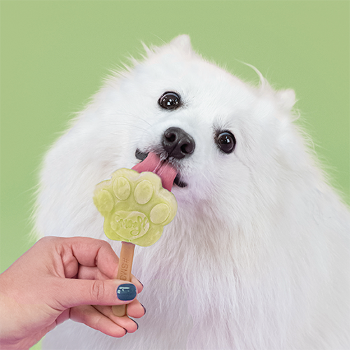 Ice Cream Mix for Dogs - Apple