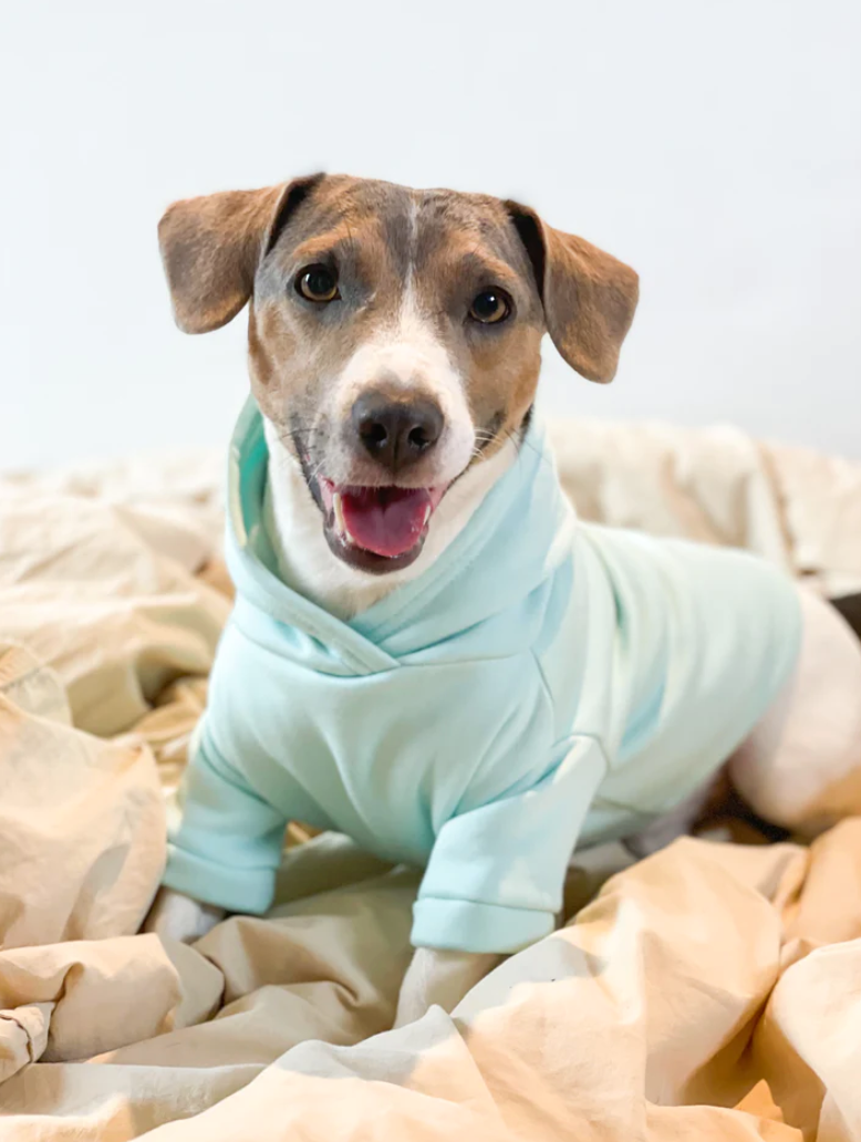 Dog Sweater - Pastel Mint